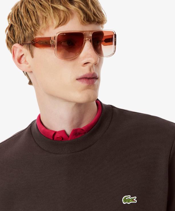 Sudadera LACOSTE de cuello redondo de felpa Marron