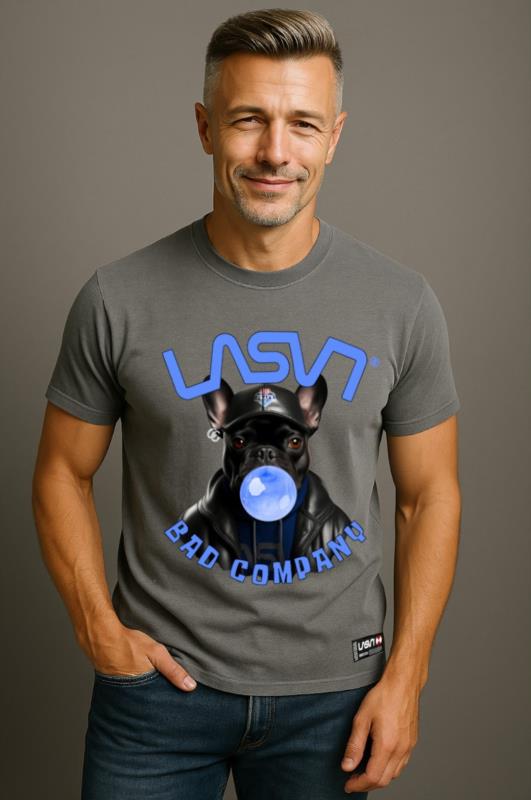 Camiseta de hombre LaSaL BAD BULL gris