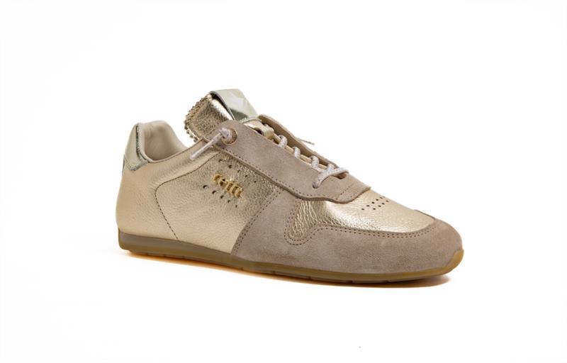 C-1379 SRA V26 ANTE-GORDON CHAMPAGNE