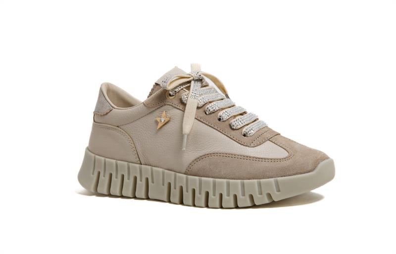 C-1381 SRA V26 ANTE-GORDON DESSERT