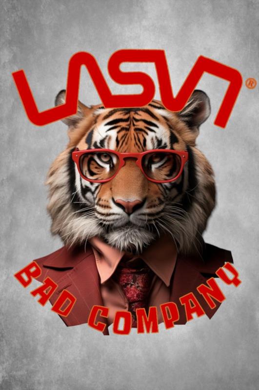 Camiseta de hombre LaSaL BAD TIGER negro desgastado