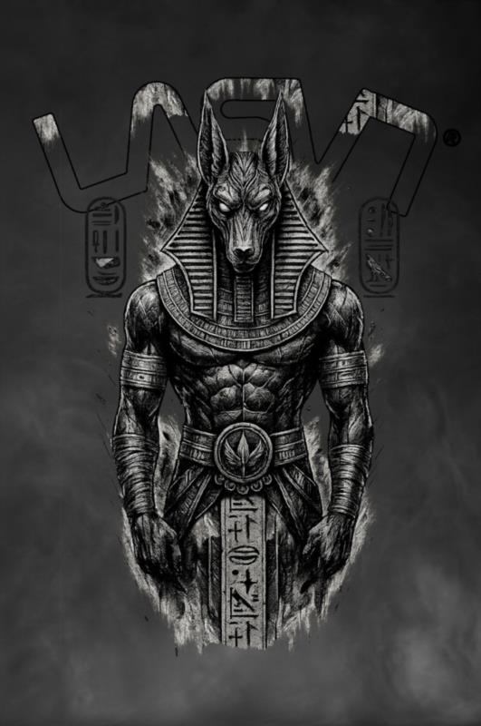 Camiseta de hombre LaSaL ANUBIS blanco