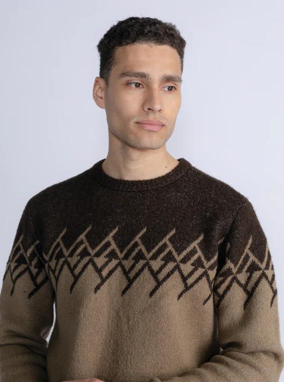 JERSEY PARA HOMBRE PETROL PRINTED PULLOVER PLATTEVILLE